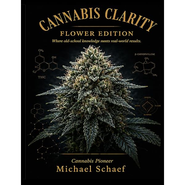 The Cannabible 2: King, Jason: 9781580085168: Amazon.com: Books
