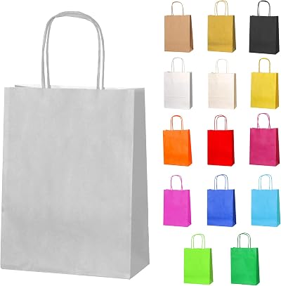 Thepaperbagstore 10 Silver Small Paper Bags With Handles 18x22x8cm