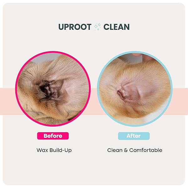 UPROOT CLEAN CAT & DOG EAR CLEANER FINGER WIPES (50CT.): DISPOSABLE DOG EAR WIPES ENRICHED WITH SHEA BUTTER & JOJOBA OIL – CLEANER REMOVING WAX BUILD UP, HELP WITH ODOR DISCOMFORT