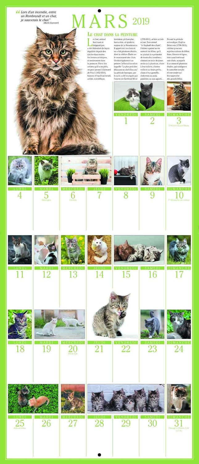 The Great 365 Cats Calendar 2019 - Image 4