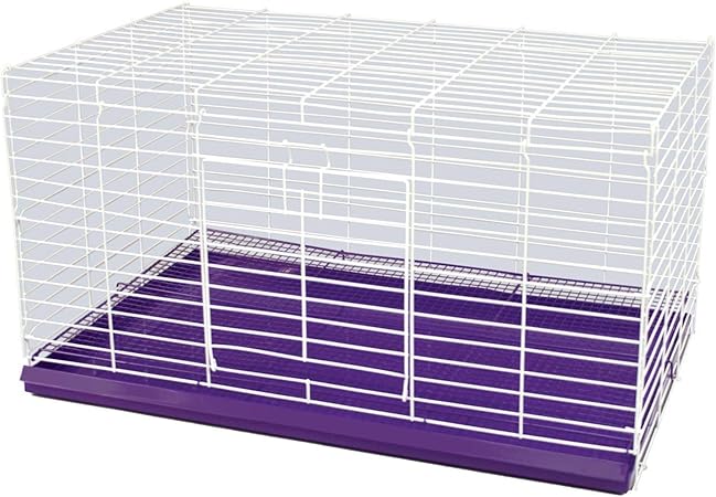 elephant in the room stuffed animal