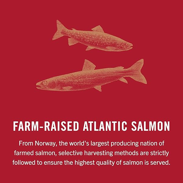 KING OSCAR PREMIUM SALMON IN OLIVE OIL, 4.05-OUNCE CANS (PACK OF 12, PACKAGING MAY VARY), SKINLESS & BONELESS SALMON