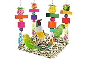 BBJINRONJY Bird Toys Parakeet Toys Conure Toys Bird Foraging Wall Toy,Seagrass Woven Hammock Swing Mat for Climb Perch Swing with Colorful Wooden Chewing Toys for Lovebirds,Parakeets,Conure,Cockatiel (Middle)