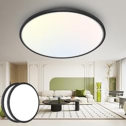hepside 15.8INCH 2Pack Big Dimmable Flush Mount
