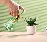 Eidoct Green Glass Spray Bottle 10.5oz Gold Top Plant Mister 7.5in view 4