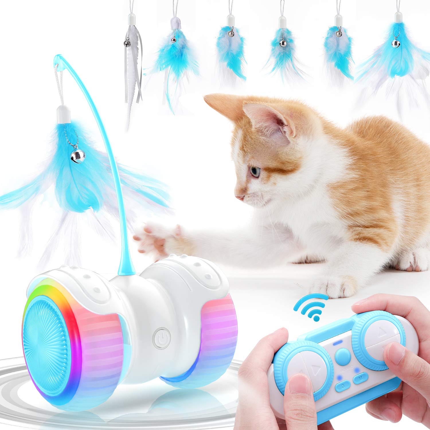 remote control kitten