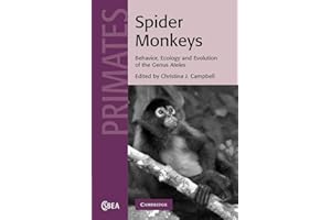 Spider Monkeys: Behavior, Ecology and Evolution of the Genus Ateles (Cambridge Studies in Biological and Evolutionary Anthropology, Series Number 55)