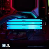 Kingston FURY Beast RGB 8GB DDR4 3600MT/s CL17 DIMM Memory KF436C17BB2A/8 view 5