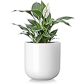 vancasso 8 Inch Ceramic Plant Pots, Planters with Drainage Hole, Flower Pots Planters Pots for Indoor Plants, Modern Indoor Decorative Garden Pot, Home Decor, White