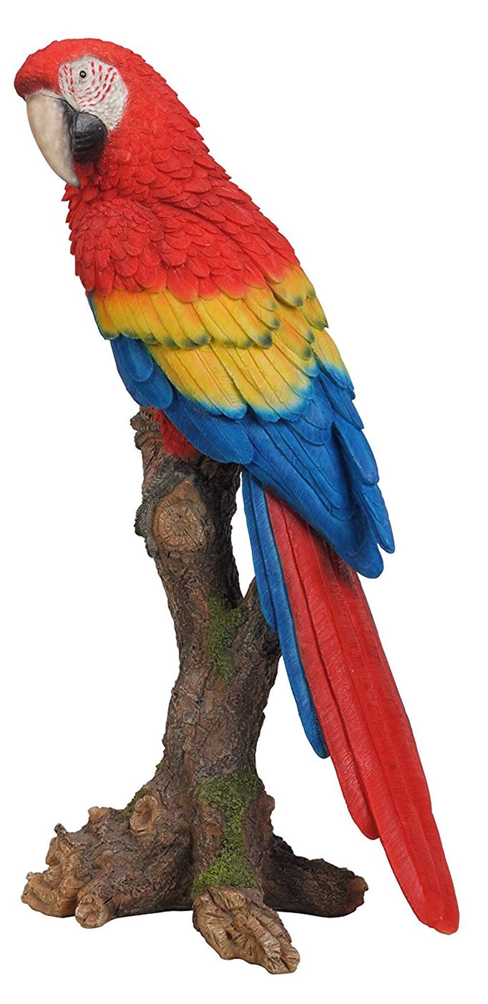 Vivid Arts XRL-MCW5-B Macaw Perched on Tree Stump - Red