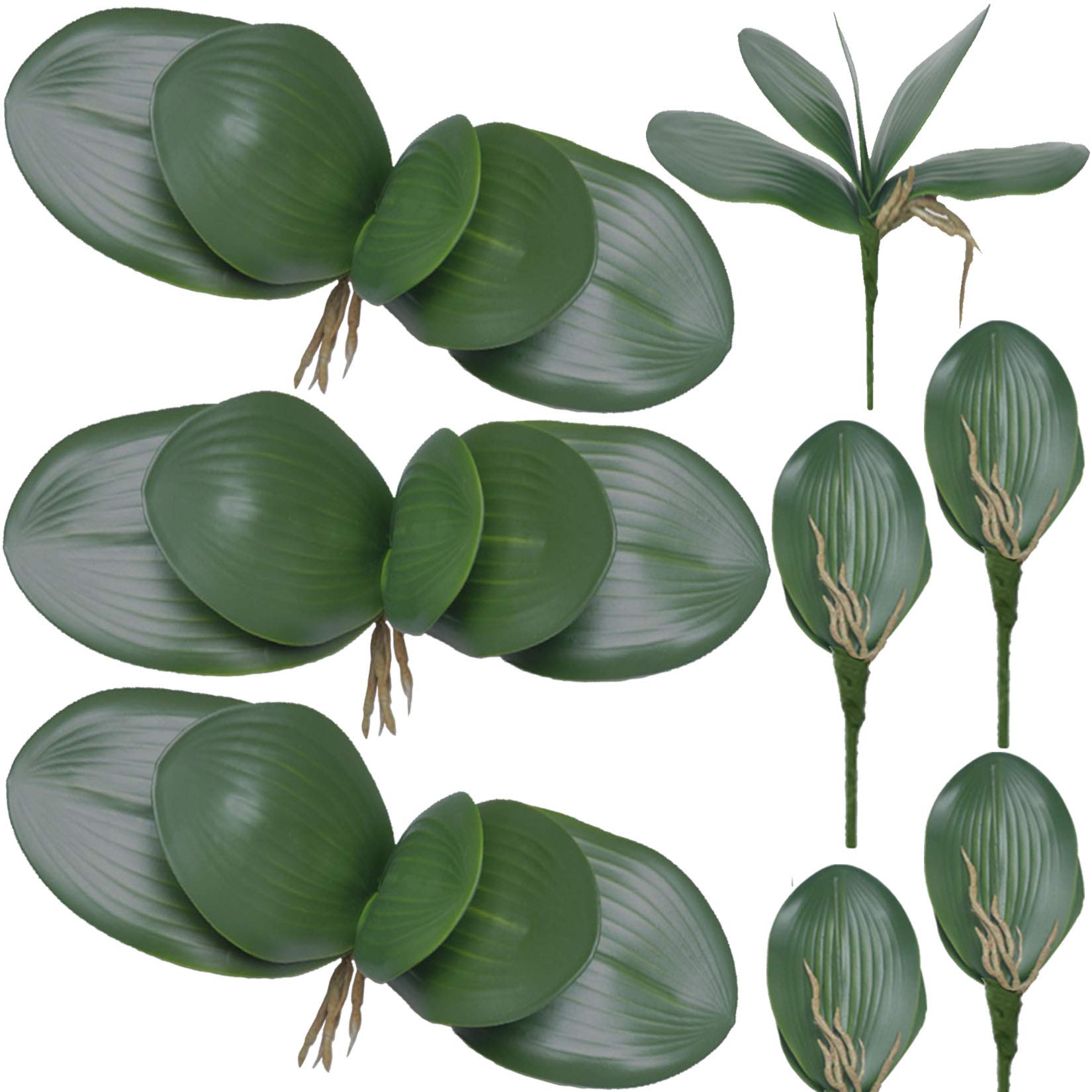FagusHome 8 PCS Artificial Phalaenopsis Orchids Leaves 11 inches Green Faux Orchids Leaf (8 Pcs)
