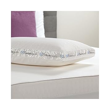 Buy Sealy Posturepedic Ventilated Latex Bed Pillow Online At Low