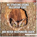 2020 Animal Memes Wall Calendar (LME3101020)