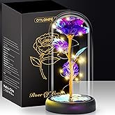 Otlonpe Mothers Day Flowers Gifts for Mom from Daughter Son, Preserved Forever Glass Light Up Rose Gifts for Grandma Wife Women Girlfriend Sister, Teacher Appreciation Graduation Gift for Her (Purple)