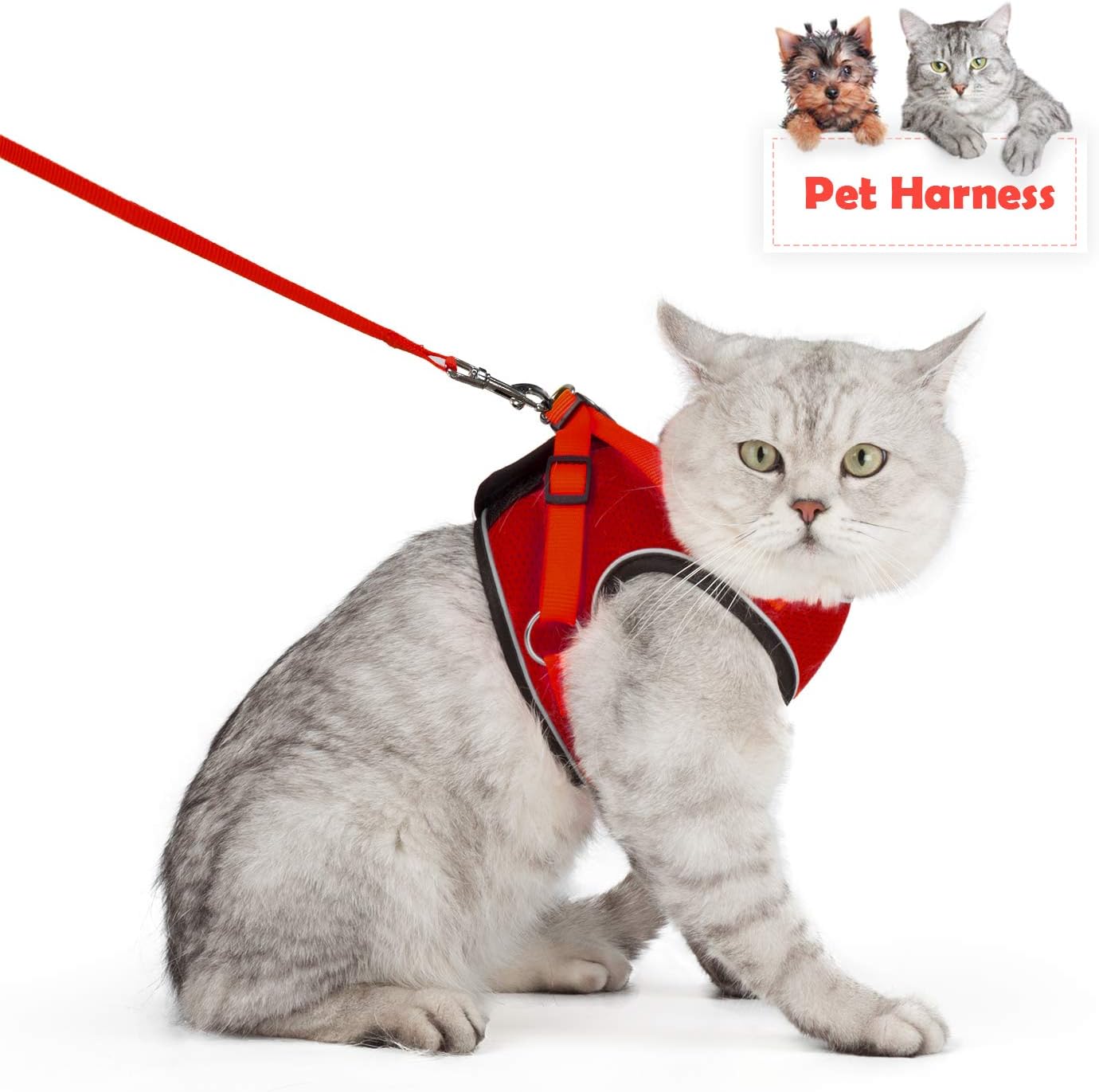 SENYE PET Cat Harness Escape Proof Small Cat and Dog Soft Mesh Vest Harnesses Adjustable Pet Harness with Leash Clip & Reflective Strap Cat Walking Jacket Comfort Fit for Kitten Puppy