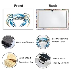 Crab Canvas Wall Art Sea Animal Marine Life Picture