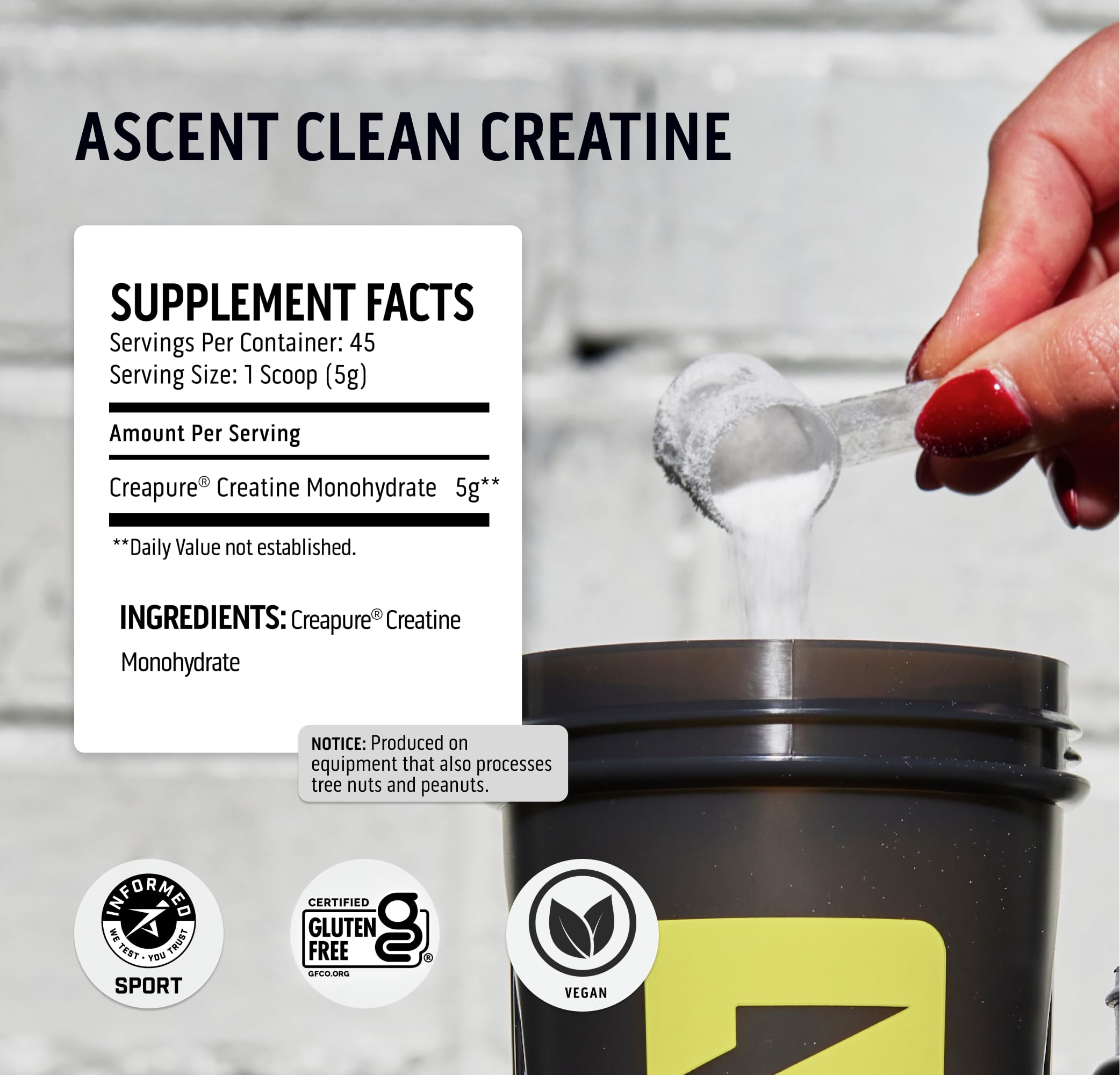 Ascent 100% Whey Protein Powder, Chocolate 2 lb & Creatine Monohydrate Powder, Unflavored 45 Servings