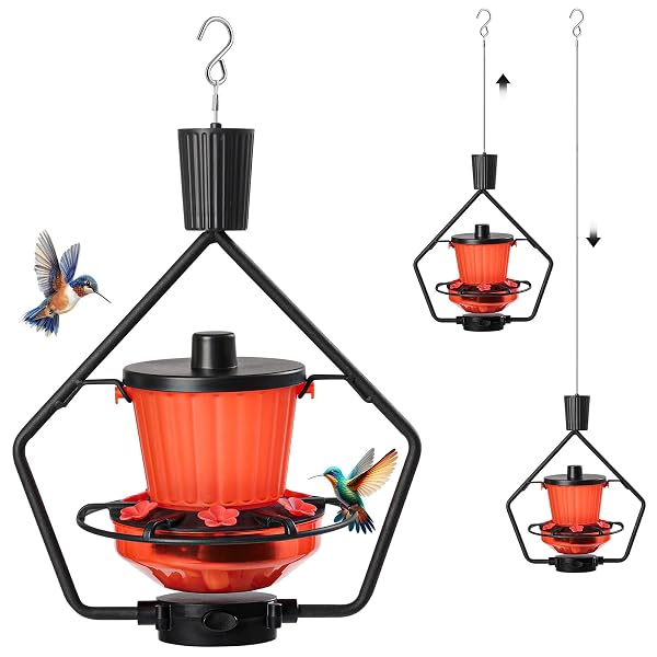 GOMAZONLE RETRACTABLE HUMMINGBIRD FEEDER, 19OZ TOP-FILL WIDE MOUTH...