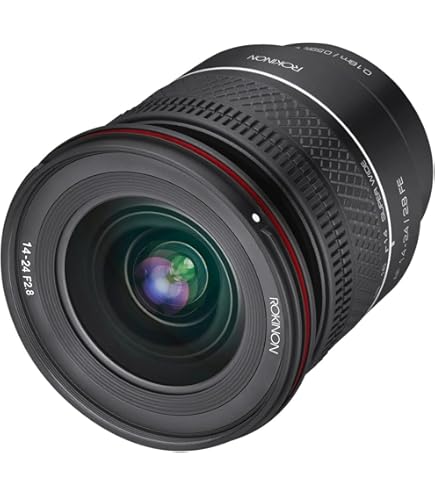 Amazon.com : Sigma 14-24mm F2.8 DG DN Sony E Mount (Renewed