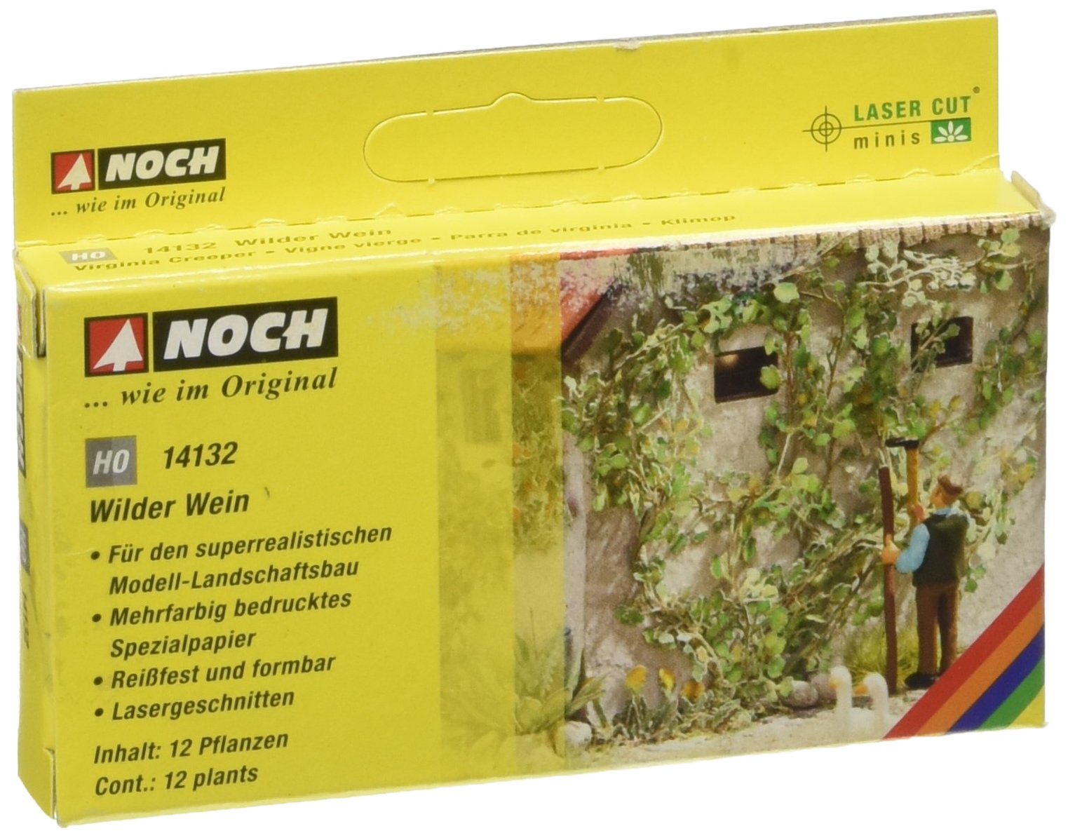 Noch 14132 Virginia Creeper Landscape Modelling