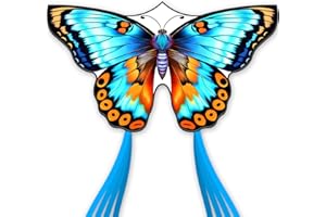DoinFly Butterflys for Kids, Beautiful Kite Easy to Fly for Beginners with 328 ft Line & Line Winder (Flower Butterfly Kite（Cyan）, 1)