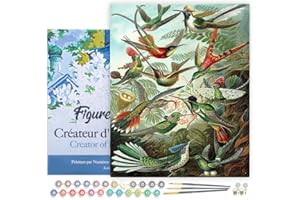 Figured'Art Paint by Numbers for Adults with Frame All The Birds 16"x20" - Craft Art Painting DIY Kit Canvas Already Stretched on a Wooden Frame