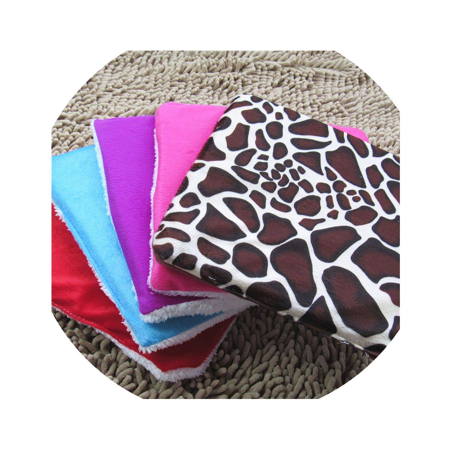 The 10 Best Bissell Petmate