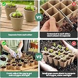Lotvic 100x 8cm Biodegradable Seed Pots & Labels, Widger Dibber Set view 6