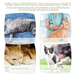 SUNFURA Cat Recovery Suit, Kitten Surgical Full