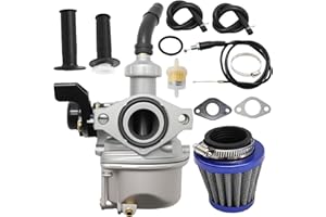 laffoonparts PZ19 Carburetor 50cc 70cc 90cc 110cc 125cc Replacement for Chinese Quad 4 Stroke ATV Replacement for TaoTao Baja