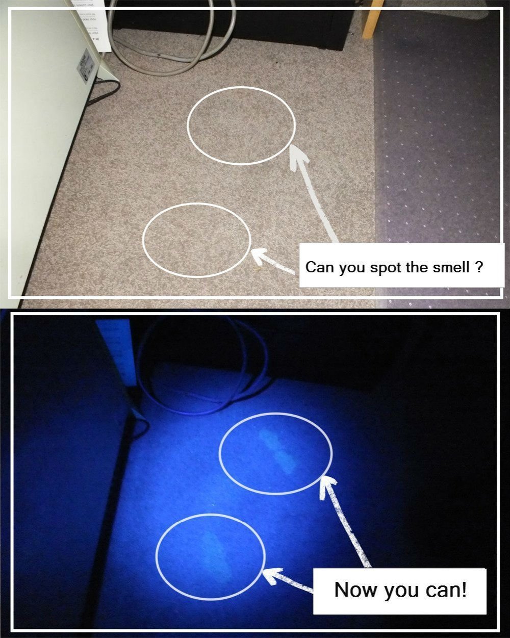 Vander 51 LED 395 nm UV Ultraviolet Blacklight Flashlight Included 3 pcs AA batteries, Spot Scorpions, Pet Urine, Counterfeit Money, Bed Bugs, Minerals, Leaks