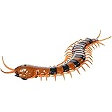 animal planet remote control centipede