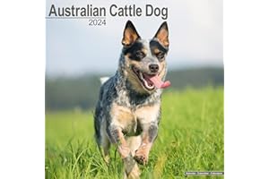 Australian Cattle Dog Calendar - Dog Breed Calendars - 2023 - 2024 wall calendars - 16 Month by Avonside