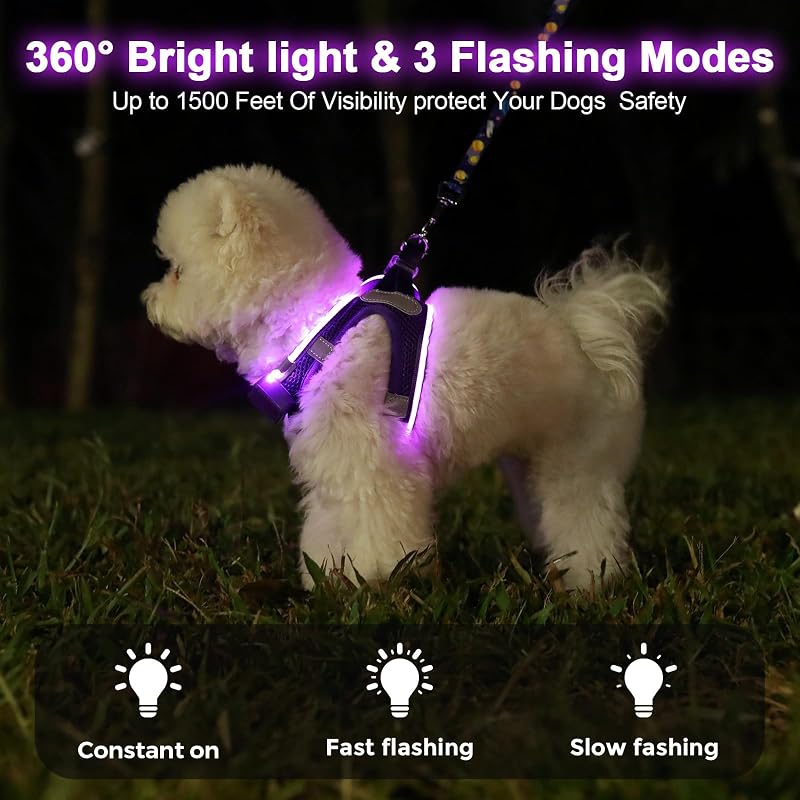 Pettorina luminosa per cani, ricaricabile a LED, pettorina luminosa