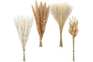 Eibeebay 75 PCS Boho Pampas Grass Decor Reed Grass Dried Flowers and Bunny Tails Dried Flowers Natural Dried Pampas Grass Bouquet Pampass Grass for Boho Decor Wedding Home Decoration (4 Styles)