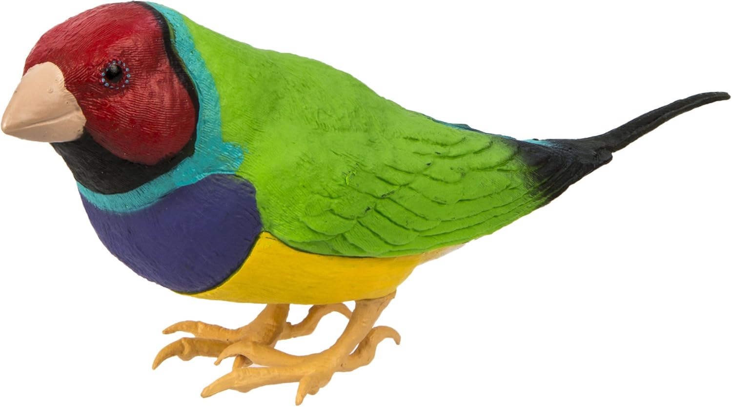 safari incredible creatures