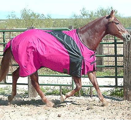Amazon Com Exselle Prima Big Horse To Blanket Raspberry Black Raspbry 98 Sports Outdoors