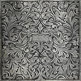 TURNPIKE TROUBADOURS (GATE)                        image