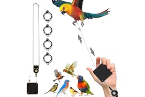 GENERIC Parrot Leash Bird Leash Scalable Anti-Bite Flight Training Rope for Budgies Cockatiels Psittacula Longicauda Mini Macaws with Foot Rings (Black, Foot Ring No. 5)
