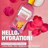 Dickinson's Enhanced Witch Hazel Alcohol Free Hydrating Toner 16 oz view 4