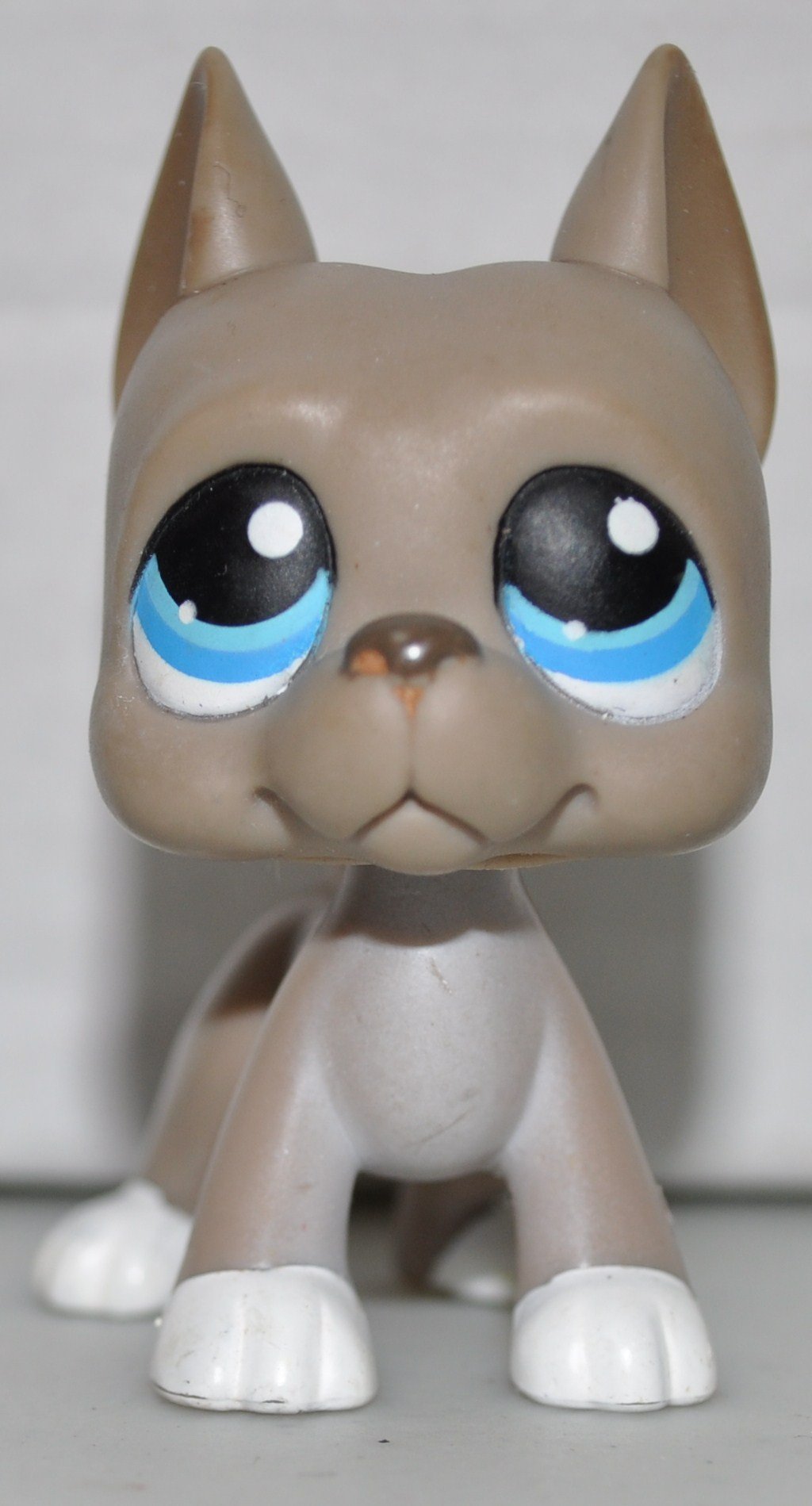 Great Dane #184 (Grey, Blue Eyes) Littlest Pet Shop (Retired) Collector Toy - LPS Collectible Replac
