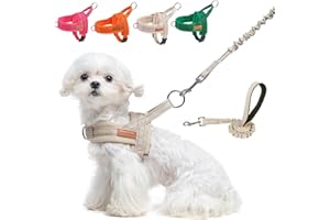 BEAUTYZOO Dog Harness for Small Dogs, No Pull Dog Harness and Leash Set, Soft Escape Proof Puppy Vest Harness with Handle, Reflective Lightweight Step in Harness for Girl Boy Dogs, Beige XS