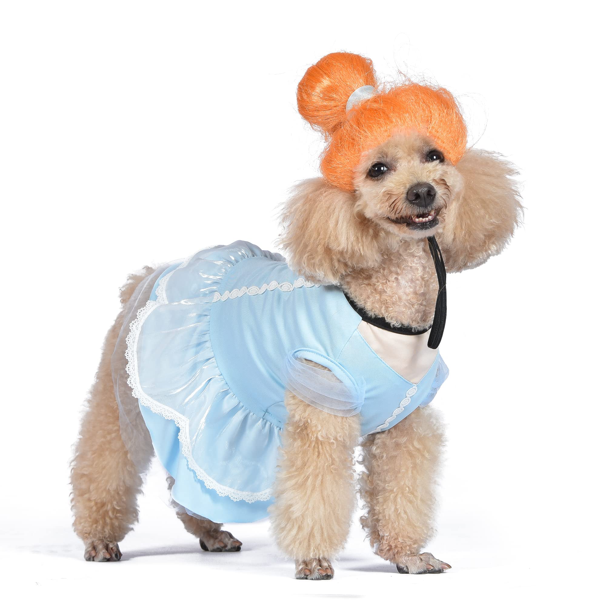 Photo 1 of Disney for Pets Halloween Princess Cinderella Dog Costume - Officially Licensed Halloween Costumes for Dogs, Size Large