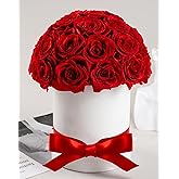 27 Forever Roses Dome in Luxury White Box, Eternal Real Roses Birthday Gifts for Women, Preserved Flowers for Delivery Prime, Anniversary, Valentine's Day, Mothers Day for Mom (Red)