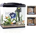4 Gallon Fish Tank,Small Fish Tank with Filter and LED Plant Light and Filter System, Betta Shrimp Guppy Jellyfish Starter Kit Self Cleaning Fish Tank Glass Aquarium
