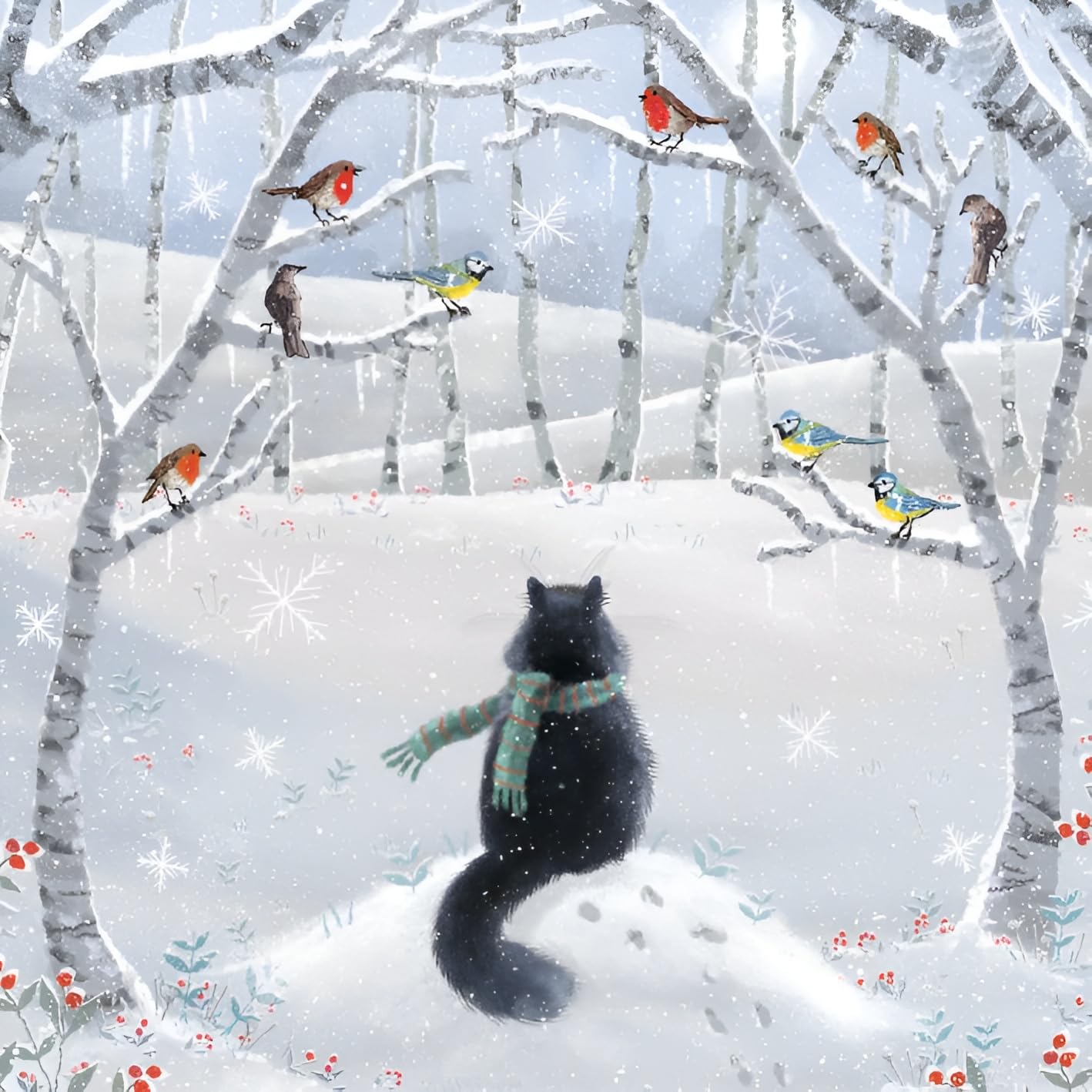 Charity Christmas Cards - Sold in Aid of Macmillan Cancer Support - Pack of 8 - Garden Birds and Cat - Festive Friends - Made in the UK - Eco-Friendly