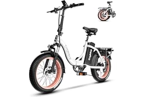 Kebiko 1000W Folding Electric Bike,48V 20AH Removable Battery E Bike,30+MPH,80 Miles Max Range Electric Bike for Adults,20" Fat Tire Foldable ebike,Adult Electric Bicycle for Commute Beach Snow