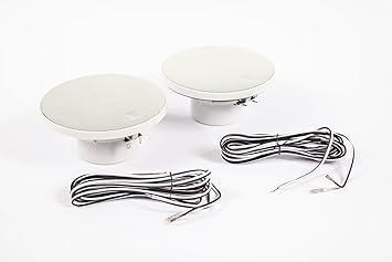 Ip66 Waterproof Bathroom In Ceiling Wall 2 Way Speaker 80w