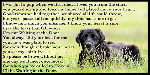 Labrador negro de perro de peluche duelo pérdida con inscripción ...