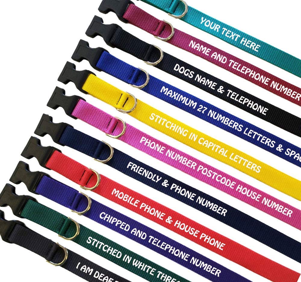 Personalised bing Dog Collars Phone Number Address Id Collar Stunning Colours Amazon.co